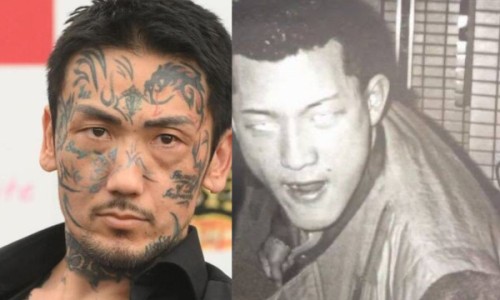 当归尾主治什么病专区_当归功效与作用功效专区_当归尾功效与作用吃法网