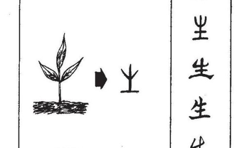 当归尾的功效与作用及禁忌是什么-当归尾主治什么病专区_当归功效与作用功效专区_当归尾功效与作用吃法网