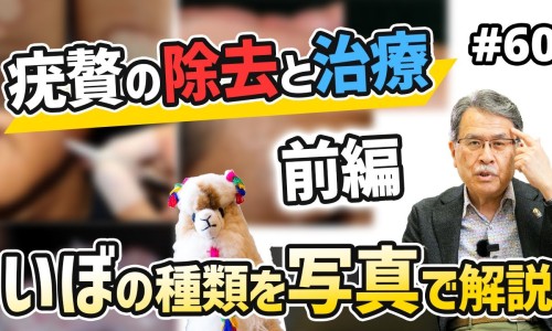 当归功效与作用功效-当归尾主治什么病专区_当归功效与作用功效专区_当归尾功效与作用吃法网