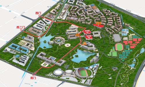 当归尾的药效和作用-当归尾主治什么病专区_当归功效与作用功效专区_当归尾功效与作用吃法网